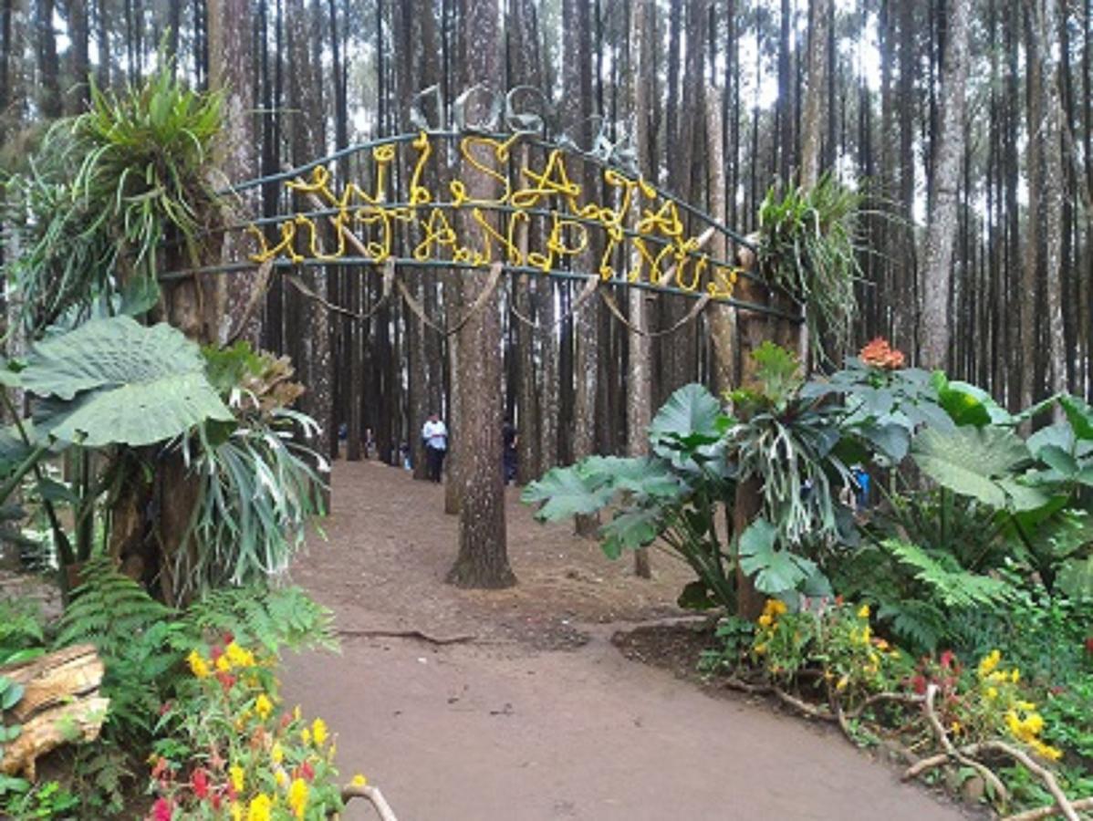 Privatunterkunft La Javanaise Malioboro